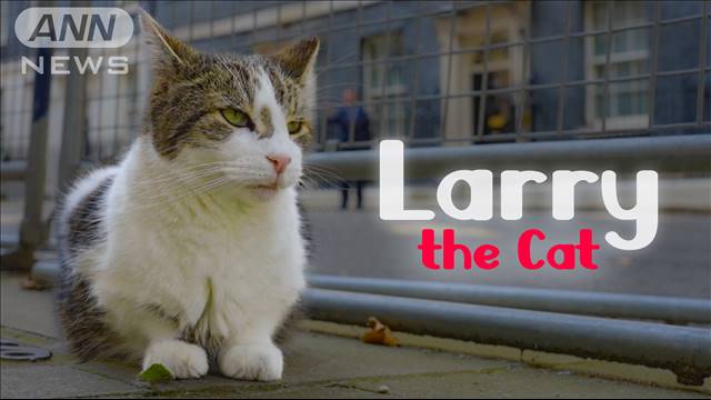 英首相官邸のネコ“健康不安説”一蹴する元気な姿　「Larry the Cat」