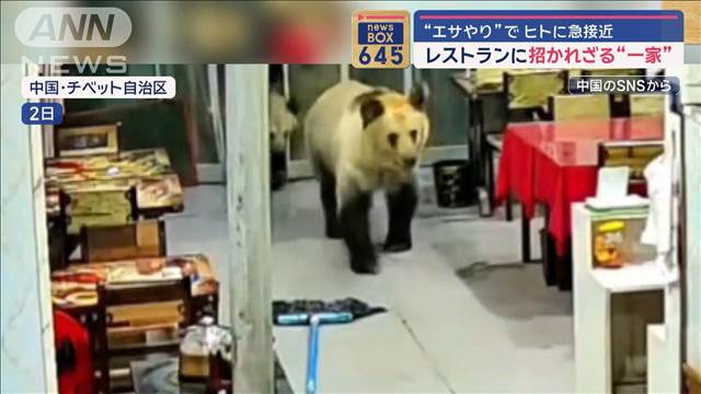 “エサやり”で野生のヒグマが襲撃　水遊びから一転…水位急上昇→気付けば“水の中”