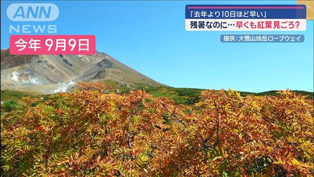 残暑なのに…早くも紅葉　見ごろ？「去年より10日ほど早い」