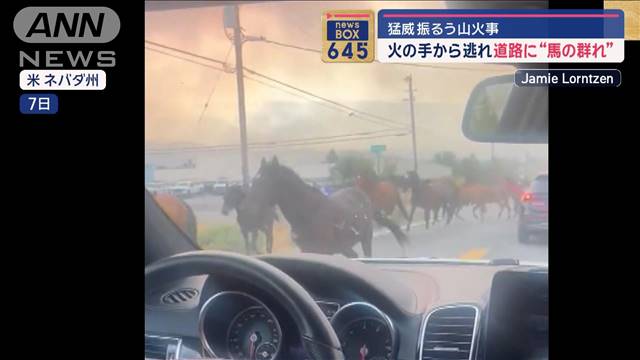 火の手から逃れ道路に“馬の群れ”　猛威振るう山火事　アメリカ