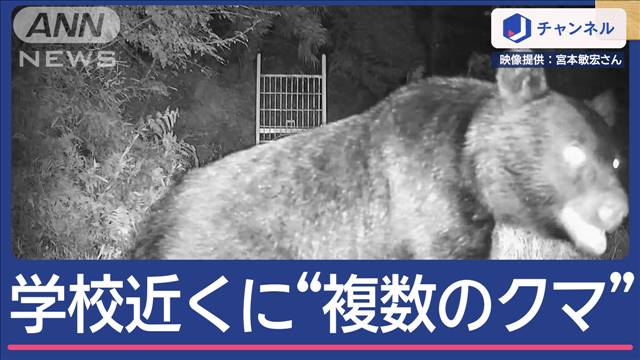 小学校近くの罠に“複数のクマ” 収穫前の桃食い荒らすクマも連日出没