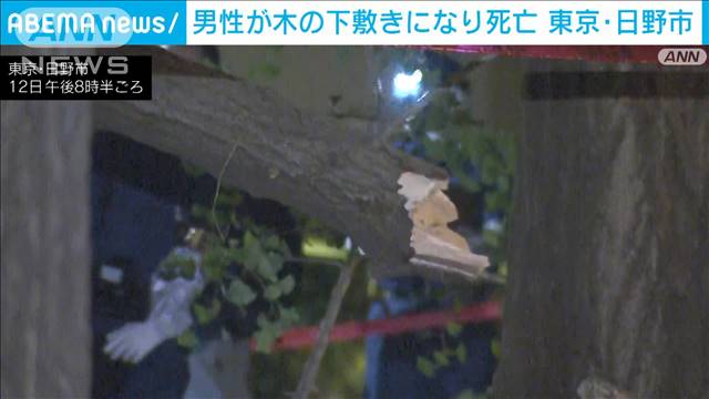 東京・日野市で倒木　30代とみられる男性が搬送　病院で死亡確認