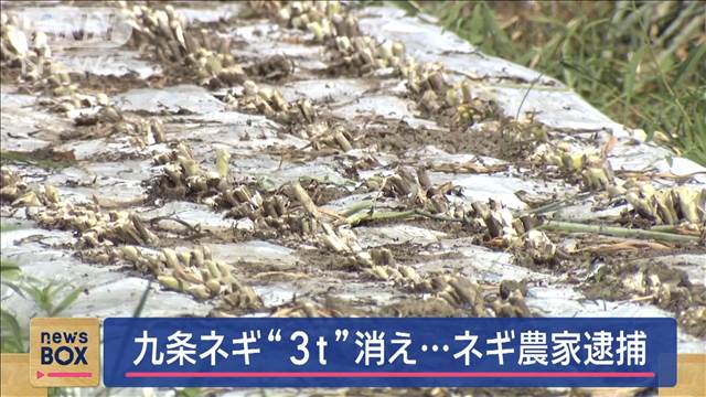 九条ネギ“3トン”消え…ネギ農家を逮捕　京都