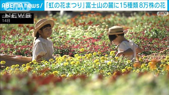 富士山と色とりどりの花々　秋晴れの下で癒される景色