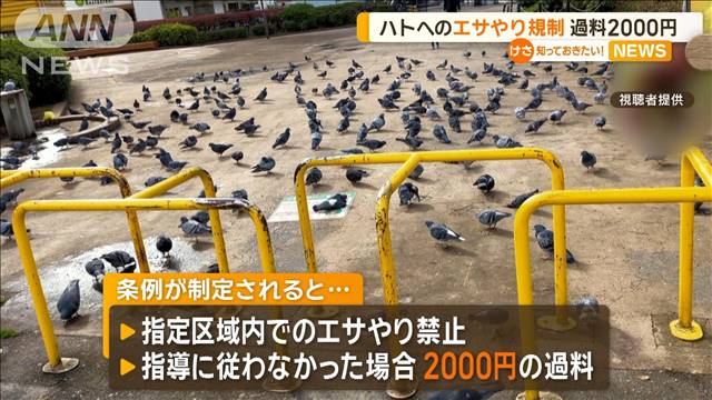 ハトへのエサやりを規制　「過料2000円」　千葉・習志野市