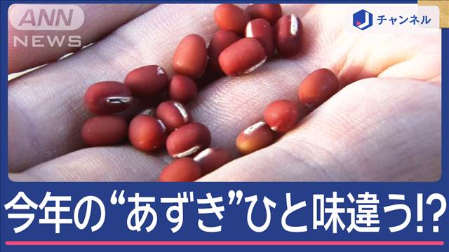 品質良好で“あずきショック”回復へ　今年はひと味違う「どらやき」？