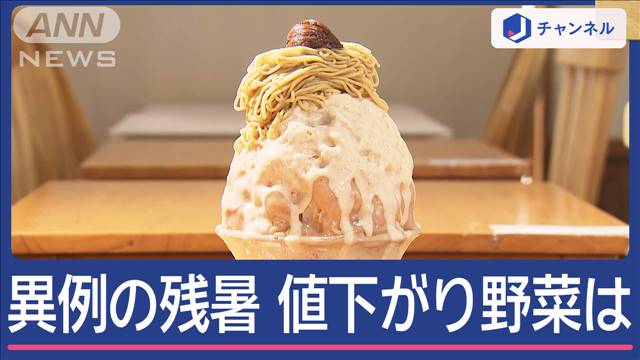 東京また夏日　ソメイヨシノ咲く　異例の残暑でおトク野菜は？