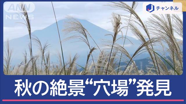 秋の絶景見頃に！定番スポットだけじゃない“人混み知らず”の穴場