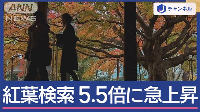 紅葉スポット　人気検索急上昇！「ランキング1位」は？