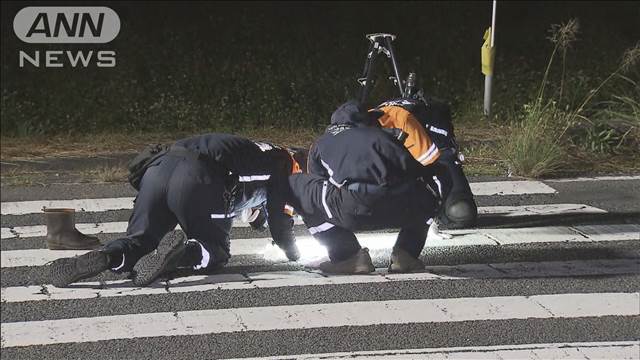 車2台にはねられ82歳女性死亡　逃走した男ら2人を逮捕