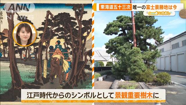 東海道五十三次の絶景探索　400年後の今はどうなってる？【グッド！いちおし】