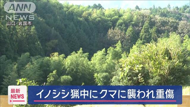 イノシシ猟中にクマに襲われ男性重傷　山口・岩国市