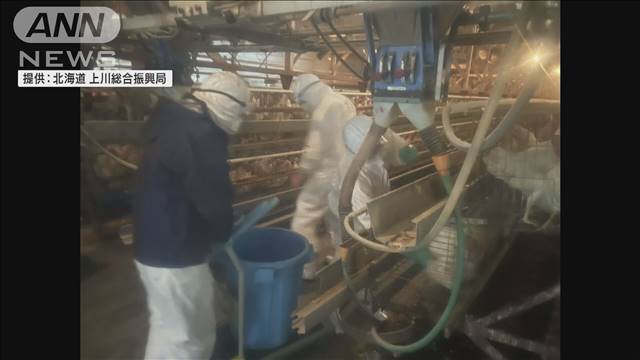 北海道で鳥インフルエンザ　ニワトリ4万羽超を殺処分