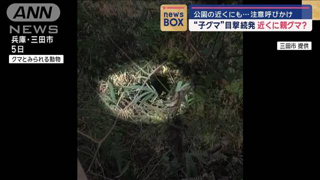 近くに親グマ？“子グマ”目撃続発 公園の近くにも