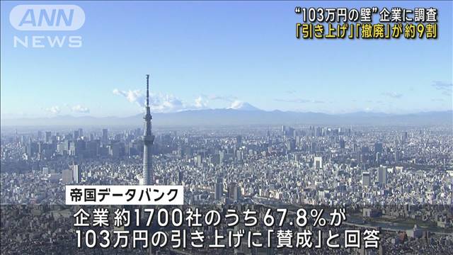 “年収103万円の壁” 企業の9割近くが見直し求める　民間調査