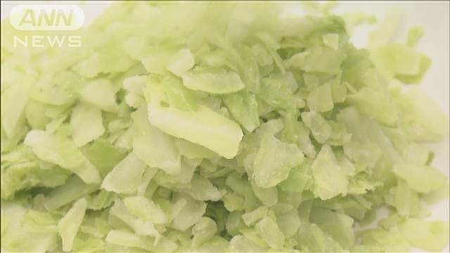 “超低温”導入した新型冷蔵庫 包丁要らずで野菜が砕ける