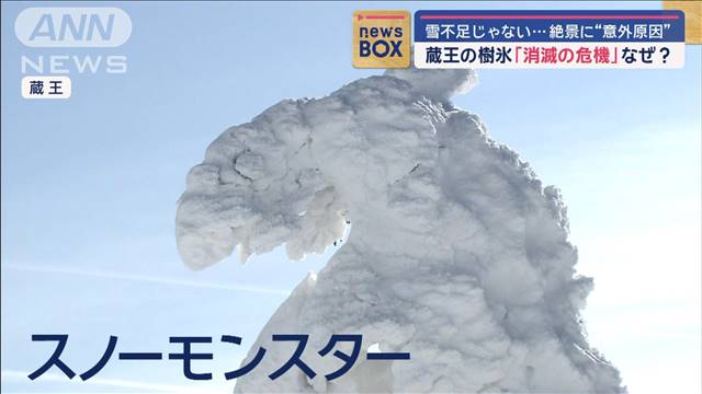 蔵王の樹氷「消滅の危機」　雪不足ではない“意外原因”