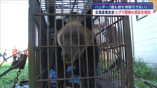 北海道猟友会 ヒグマ駆除の拒否を検討　ハンター「誰も銃を発砲できない」