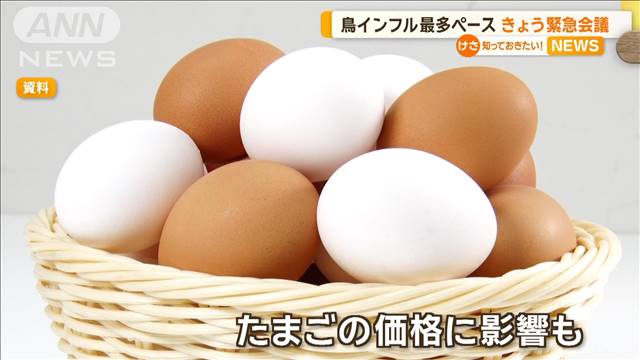 鳥インフル過去最多ペース　8道県10例、121万羽殺処分　大流行すれば卵価格上昇も