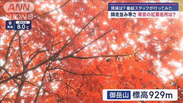 師走並み寒さ 東京の紅葉は？