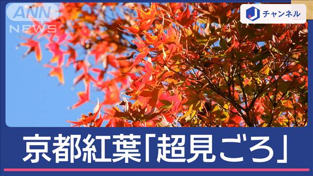 京都の“絶景紅葉”外国人客も驚き　東京も色づき