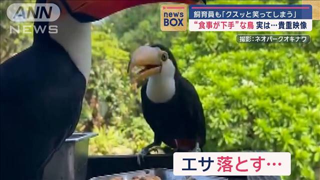 飼育員も「クスっと笑ってしまう」“食事が下手”な鳥　実は…