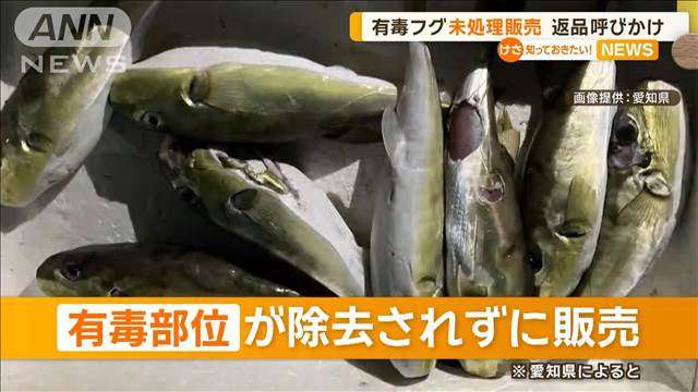 有毒サバフグ未処理で販売　返品呼びかけ　愛知