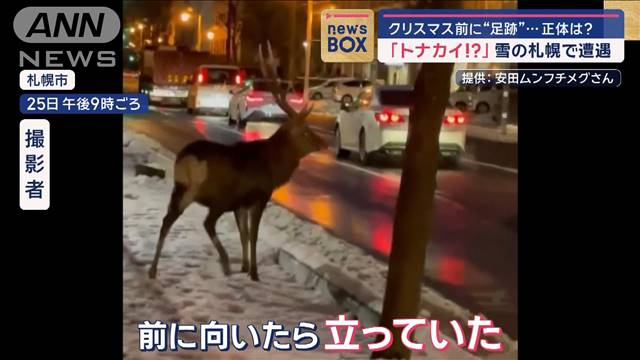 「うぉ！トナカイ！？」雪の札幌で遭遇　正体は…