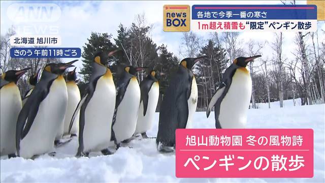 北海道 1m超え積雪も“限定”ペンギン散歩　各地で今季一番の寒さ