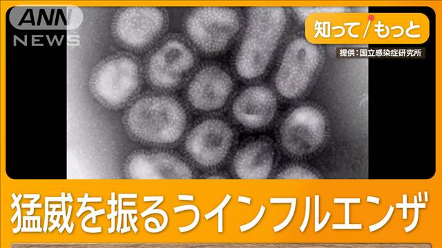 インフルエンザ早くも急増　病院「毎日パンク」　せき止め・抗生物質不足