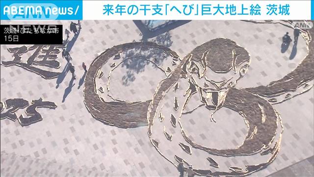 「夢や目標に向かって進む大蛇」2025年干支の巨大地上絵 茨城・国営ひたち海浜公園