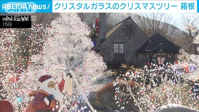 七色に光り輝くクリスタルガラスのクリスマスツリー　神奈川・箱根町