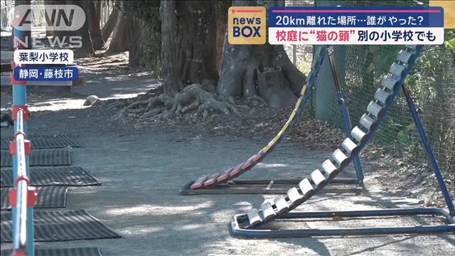 校庭に“猫の頭”別の小学校でも　20km離れた場所…誰がやった？