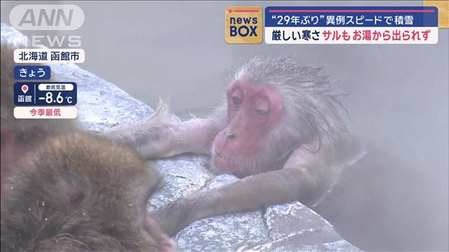 “29年ぶり”異例スピードで積雪　厳しい寒さ　サルもお湯から出られず