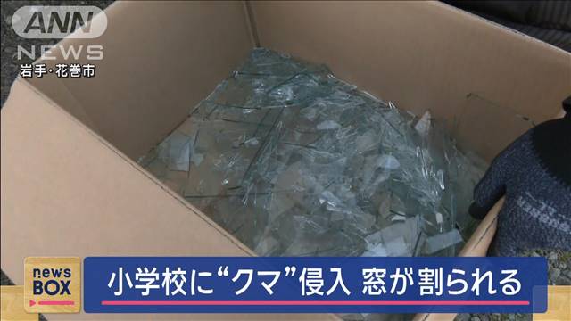 小学校に“クマ”侵入　窓が割られる　岩手