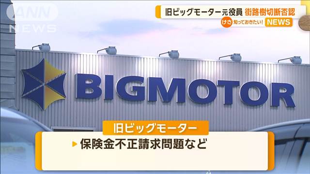 旧ビッグモーター元役員　街路樹切断を否認