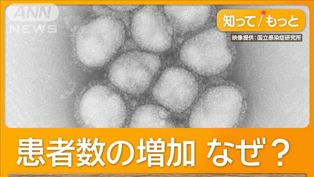 インフルエンザ「pdm09型」猛威　2009年にも大流行　医師「免疫持つ人少ない」