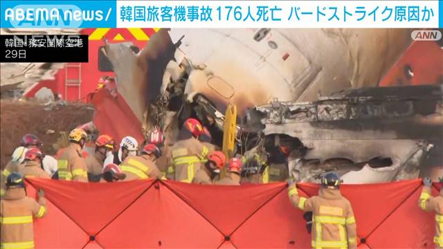 韓国の旅客機が着陸失敗・炎上　死者176人に　バードストライクが原因か