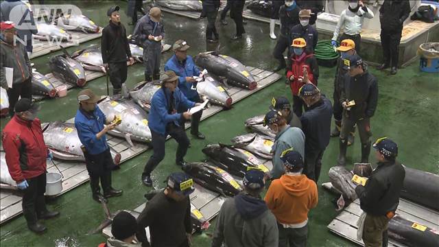 【速報】東京・豊洲市場のマグロ初競り　最高値は青森・大間産で2億700万円