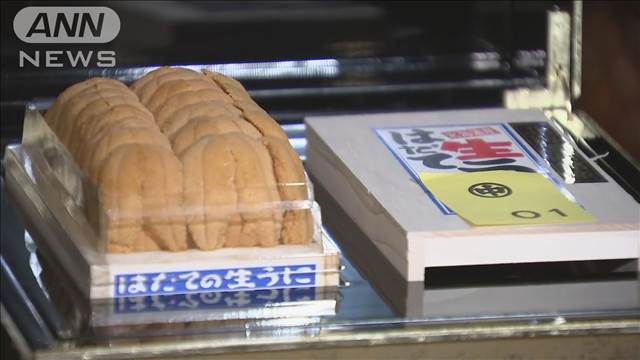 「生ウニ」約400グラムで700万円　豊洲市場の初競りで史上最高値