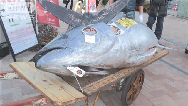 豊洲市場でマグロの初競り　最高値は大間産2億700万円