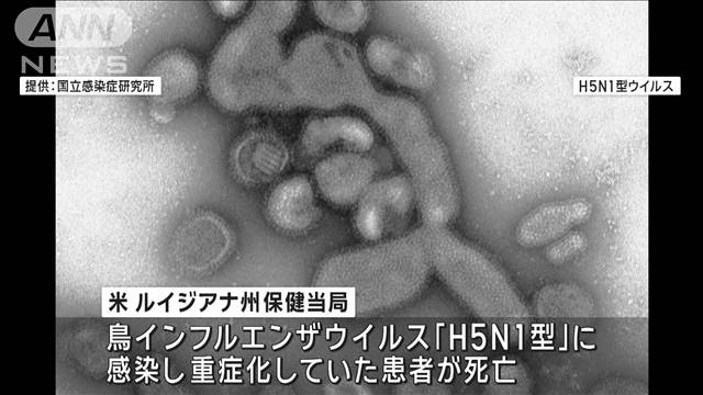 米で鳥インフルエンザ感染で初めての死者　「H5N1型」　ルイジアナ州