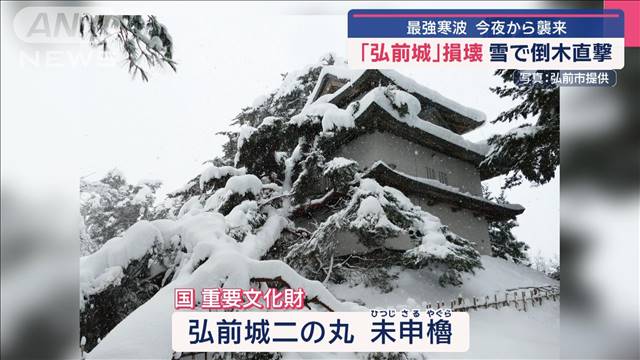 「弘前城」損壊　大雪で倒木直撃　今夜から最強寒波襲来