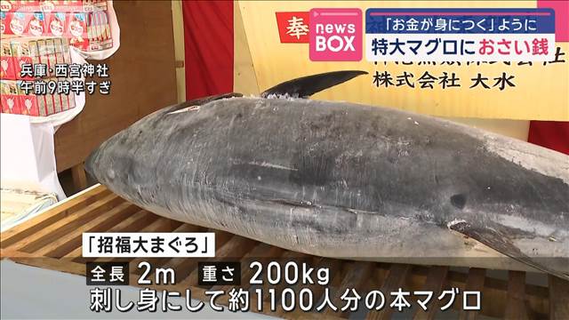 特大マグロにおさい銭　「お金が身につく」ように