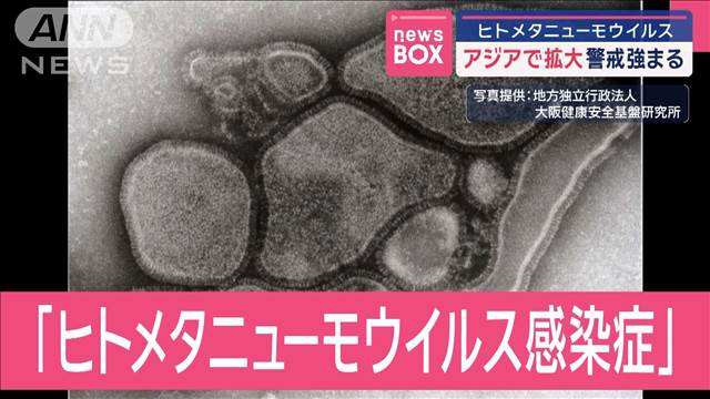 ヒトメタニューモウイルス　アジアで拡大　警戒強まる