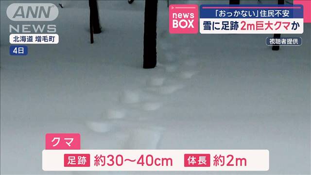 「おっかない」2メートルの巨大クマか　雪に足跡　住民不安