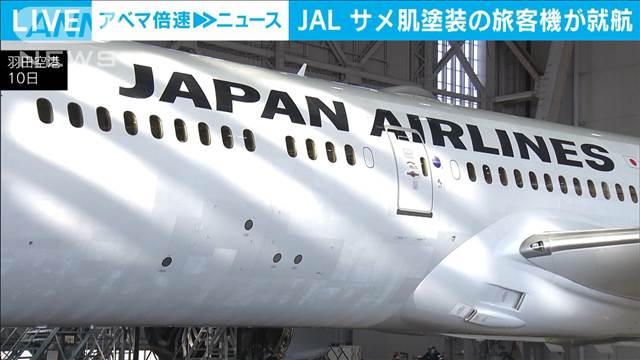 世界初　凸凹塗装を施した国際線旅客機就航へ　燃費改善しCO2排出も削減