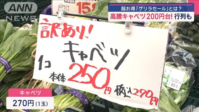 超お得「ゲリラセール」とは? 高騰キャベツ200円台! 「市場グルメ」高級肉なぜ安い?