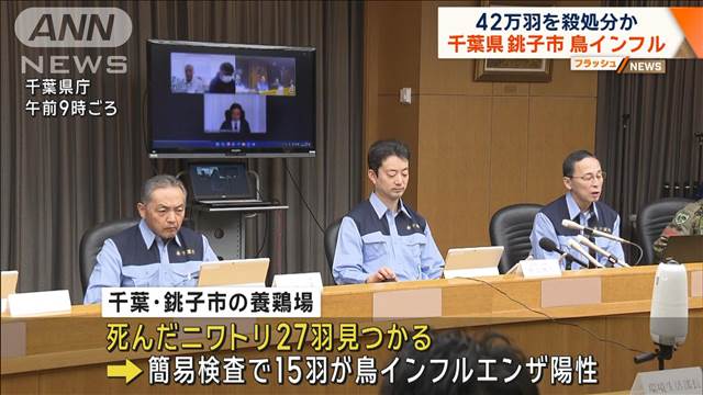 42万羽を殺処分か　銚子市の養鶏場 鳥インフルエンザ疑い