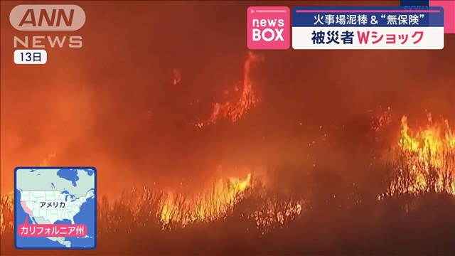 ロス山火事 被災者に“厳しい現実”　Wショック…火事場泥棒＆“無保険”